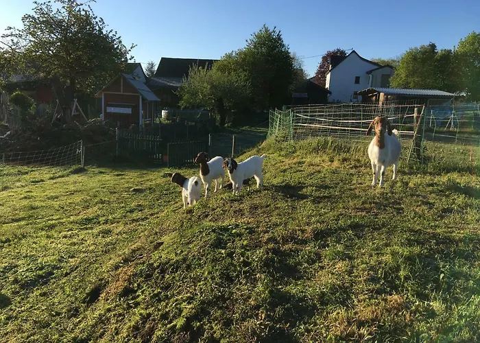 Zur Scheune בית הארחה Lind (Mayen-Koblenz)