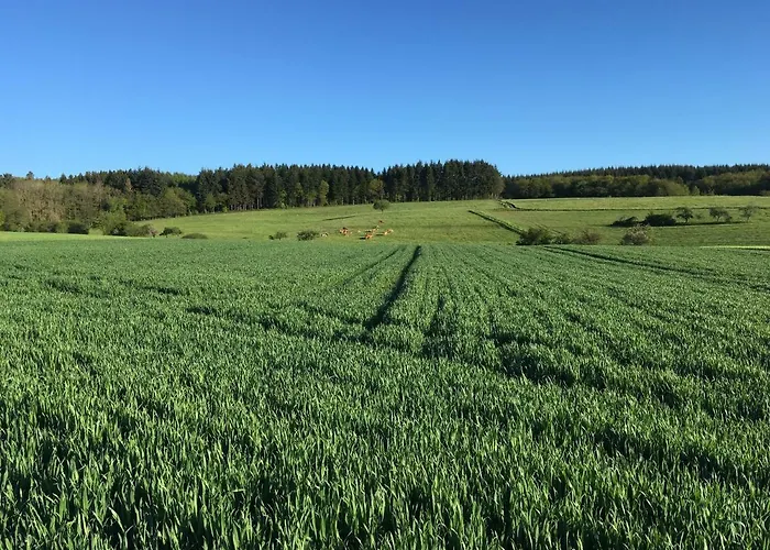 Zur Scheune בית הארחה 4*